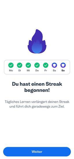 Kontinuierliches Lernen