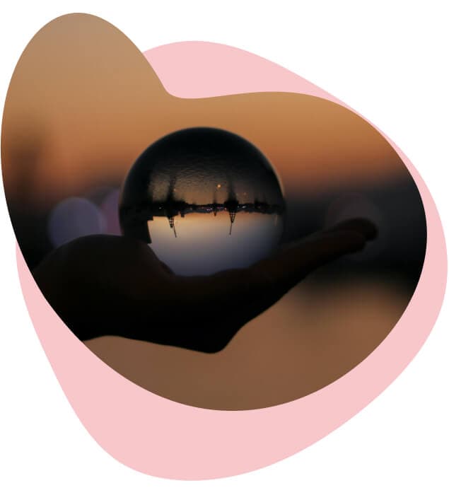 careers-curiosity-busuu