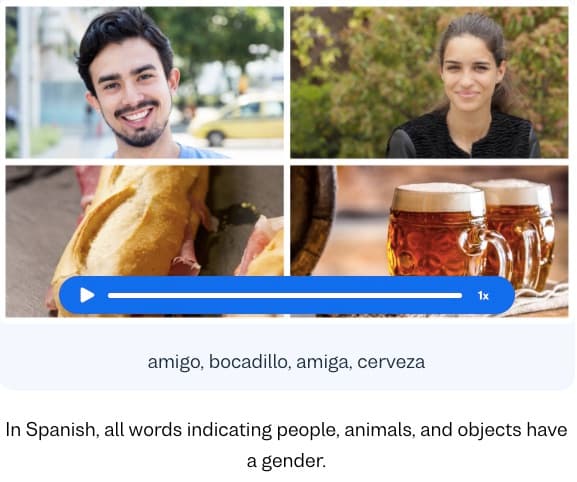 spanish masculine feminine busuu