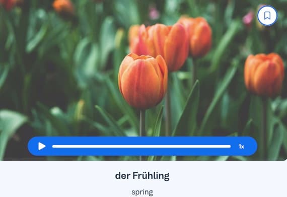 seasons-in-german busuu